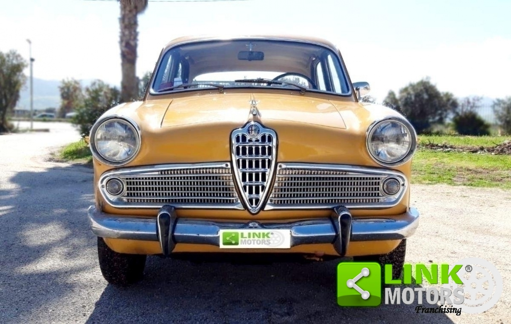 Vendo Alfa Romeo Giulietta 1300 T I 1961