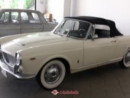FIAT 1200 CABRIOLET 118 G ANNO 1959