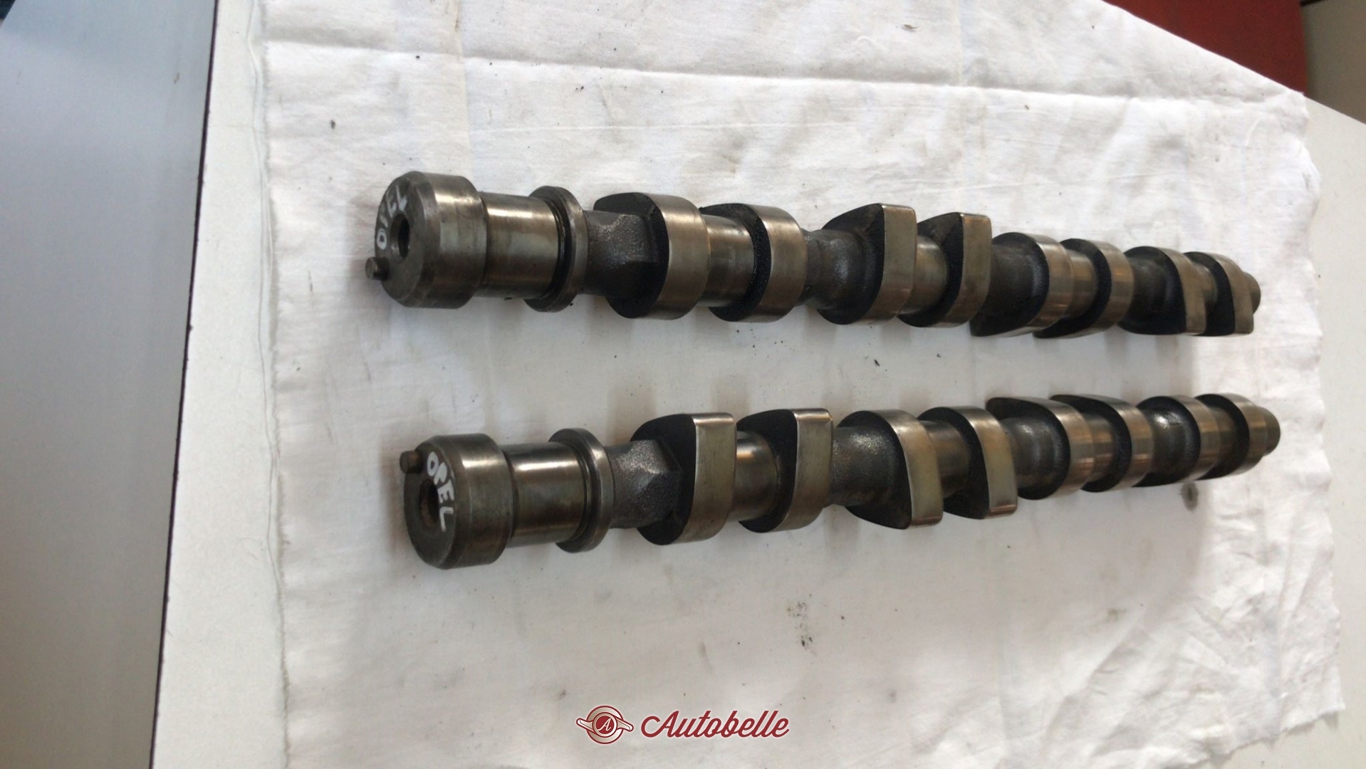Puleggia Albero Motore Compatibile Per Opel Astra Vectra Zafira | Biba