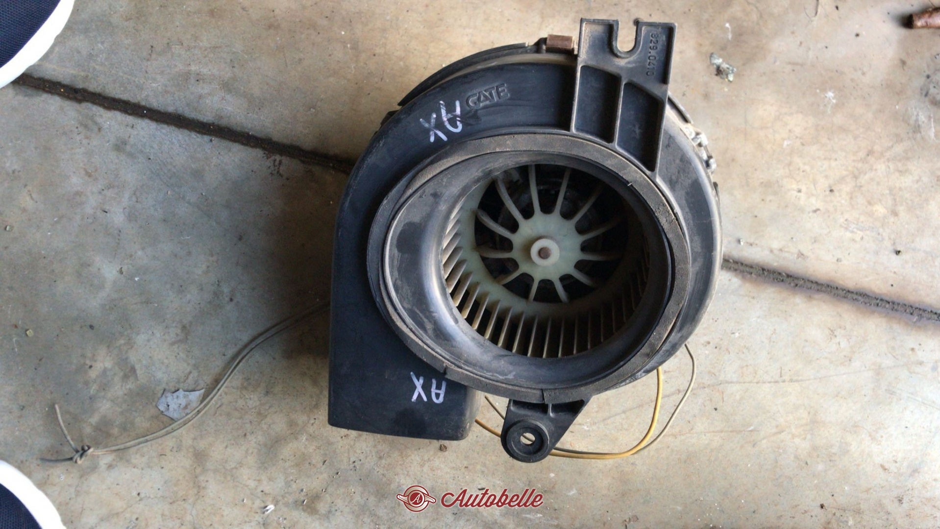 Taros Trade Ventilatore Abitacolo 250W Per Fiat Ducato (94-01), Peugeot Boxer (94-02), Citroen Jumper (94-02)